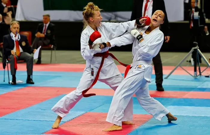 gdb339836c788fd9be521beafec0c5a5b056fa62db227be1829035a07940ad345ff875405e28f7c8f6222d47b72646e71e94cb5cd8ad6c669b50720834e96d5b6_1280-7477212-e1722765534743